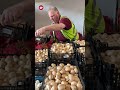 Liverpool’s wholesale market enjoying new era after 167 years 🍏 🍓 🍋