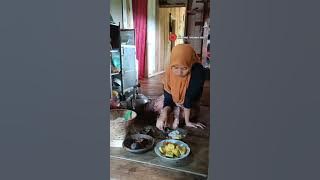 Pesona Gadis Desa Saat Panen Padi di Sawah || Indonesian Girl Rural Life