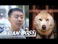 Do All Koreans Really Eat Dog Meat? (Street Interview) | ASIAN BOSS