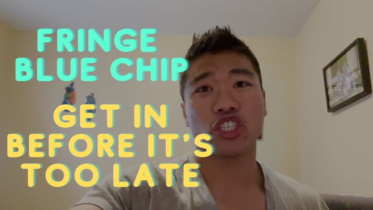 Cool Pets NFT - Fringe Blue Chip - Get In Before It's Too Late!