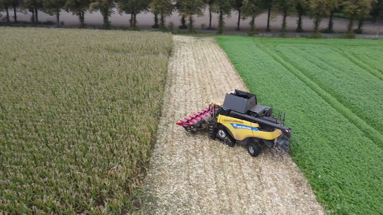 Schrey&Lendermann Seppenrade 2021 10 19