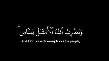 سورة النور • الآية 35 • الشيخ محمد اللحيدان • القرآن الكريم شاشة سوداء | Surah An-Nur