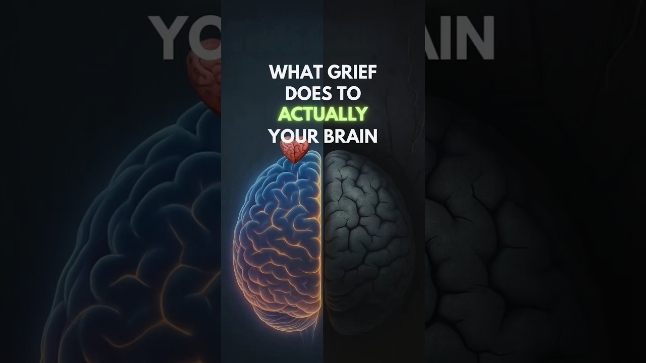 What Actually Happens to Your Brain on Grief
