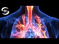 Lungenreinigung Frequenz - Atemwegserkrankungen heilen - Entgiftung der Lunge