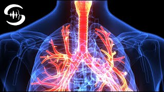 Lung cleansing Frequency - Heal respiratory diseases - Detoxify the lungs