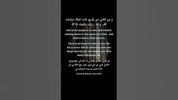 سوره بقره، آیه 207.