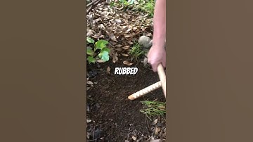 How To Attract Worms Instantly (Try It On Your Garden!)
