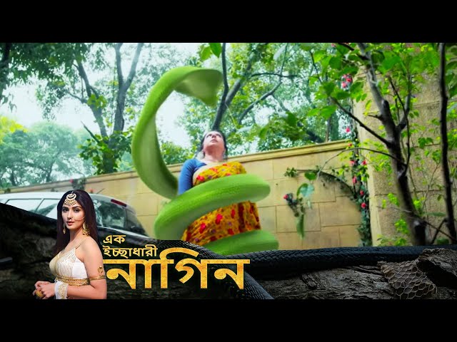 Isroildagi plyajdagi guruh jinsiy aloqa