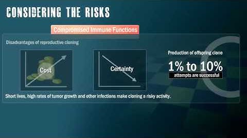 Human Cloning: To Clone Or Not To Clone (Video by MapsofWorld)