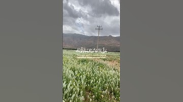 تلاوة خاشعة تريح الاعصاب 🥹❤️