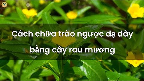 Thực hư cách chữa trào ngược dạ dày bằng cây rau mương và lưu ý cho người bệnh