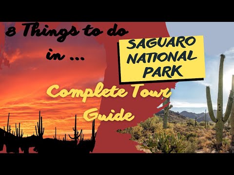 Video: Parco Nazionale del Saguaro: la guida completa