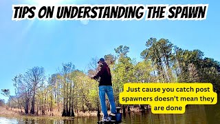 TIPS on understanding the different stages of the SPAWN
