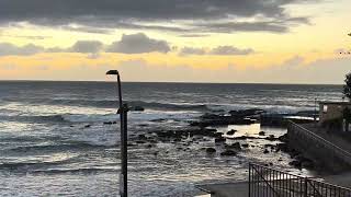 11.05.2026 Sydney Surf Report Dee Why Beach Australia 