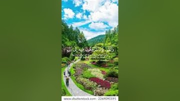 Al Quran القرآن الكريم #quran_kareem #اكسبلور #islamicscripture #tilawatquran