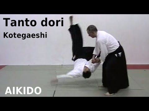 Knife Disarming Basics: Aikido Tanto Tori 1 