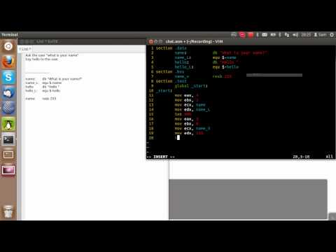 Tutorial - NASM Part 2