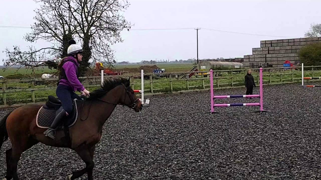 Daisy at Four Winds Equestrian Centre 28/4/16 YouTube