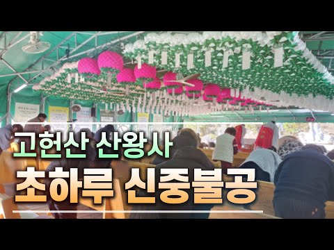 [산신기도 도량 산왕사] 2023년 계묘년 10월 초하루 신중불공 #산왕사 #산왕대신 #산신기도