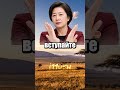 Неполиткорректный Китай 🇨🇳