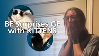 BF Surprises GF with Kittens! Cute Kittens