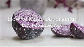 How to Make Sauerkraut  Easy Fermented Food  Healthy Gut