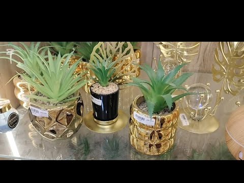 أشيك وأحدث التحف والأنتيكات والفازات في أفخم جاليري 2025 2026