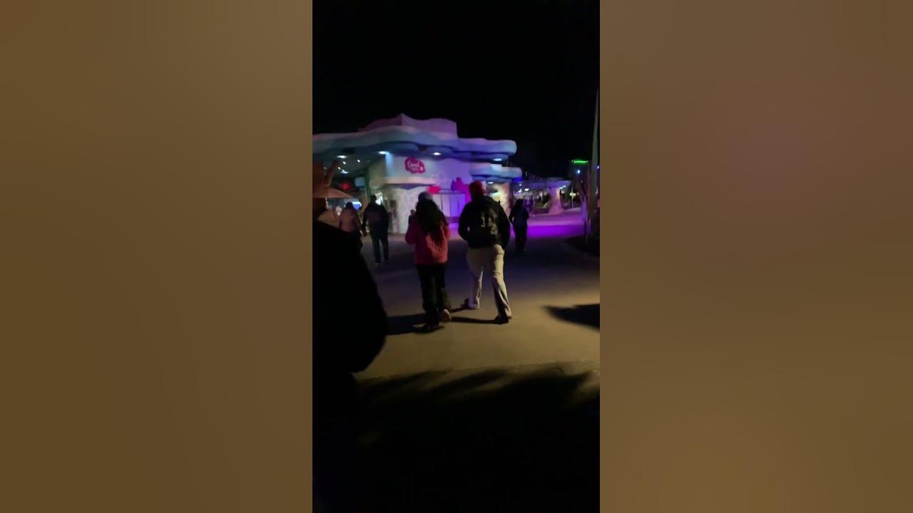 mardi gras seaworld san diego mardi gras seaworld san diego