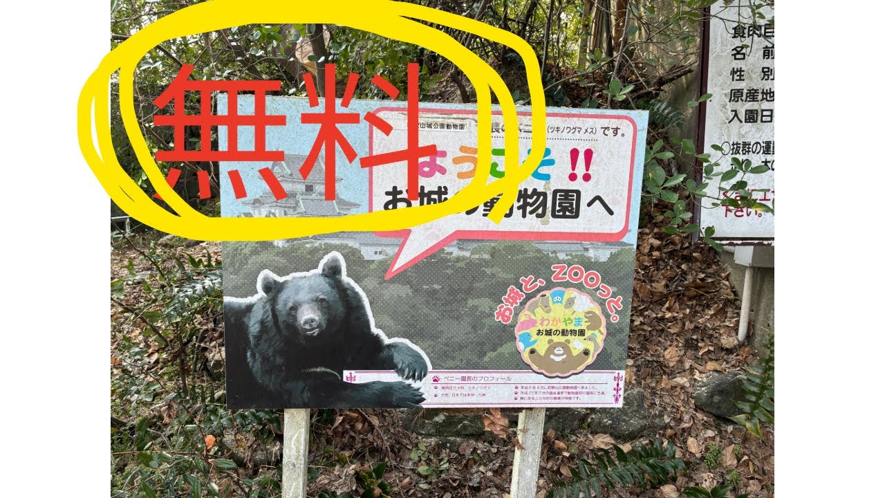 #和歌山城公園動物園　#和歌山　#動物園　#無料