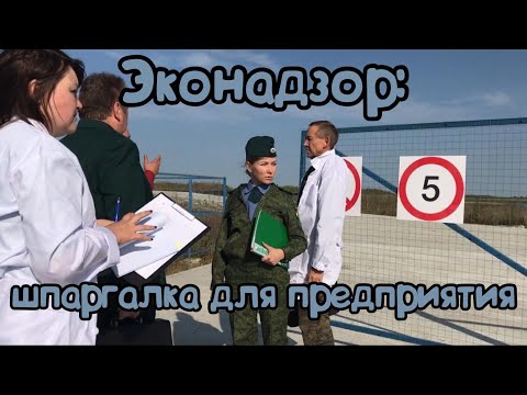 Эконадзор - шпаргалка для предприятия и пути обжалования