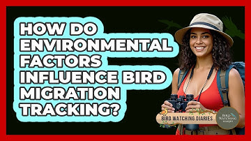 How Do Environmental Factors Influence Bird Migration Tracking? - Bird Watching Diaries