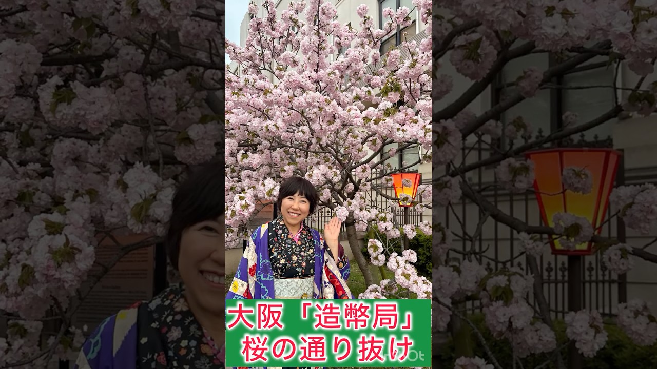 大阪 造幣局「桜の通り抜け」🌸🌸🌸 - YouTube