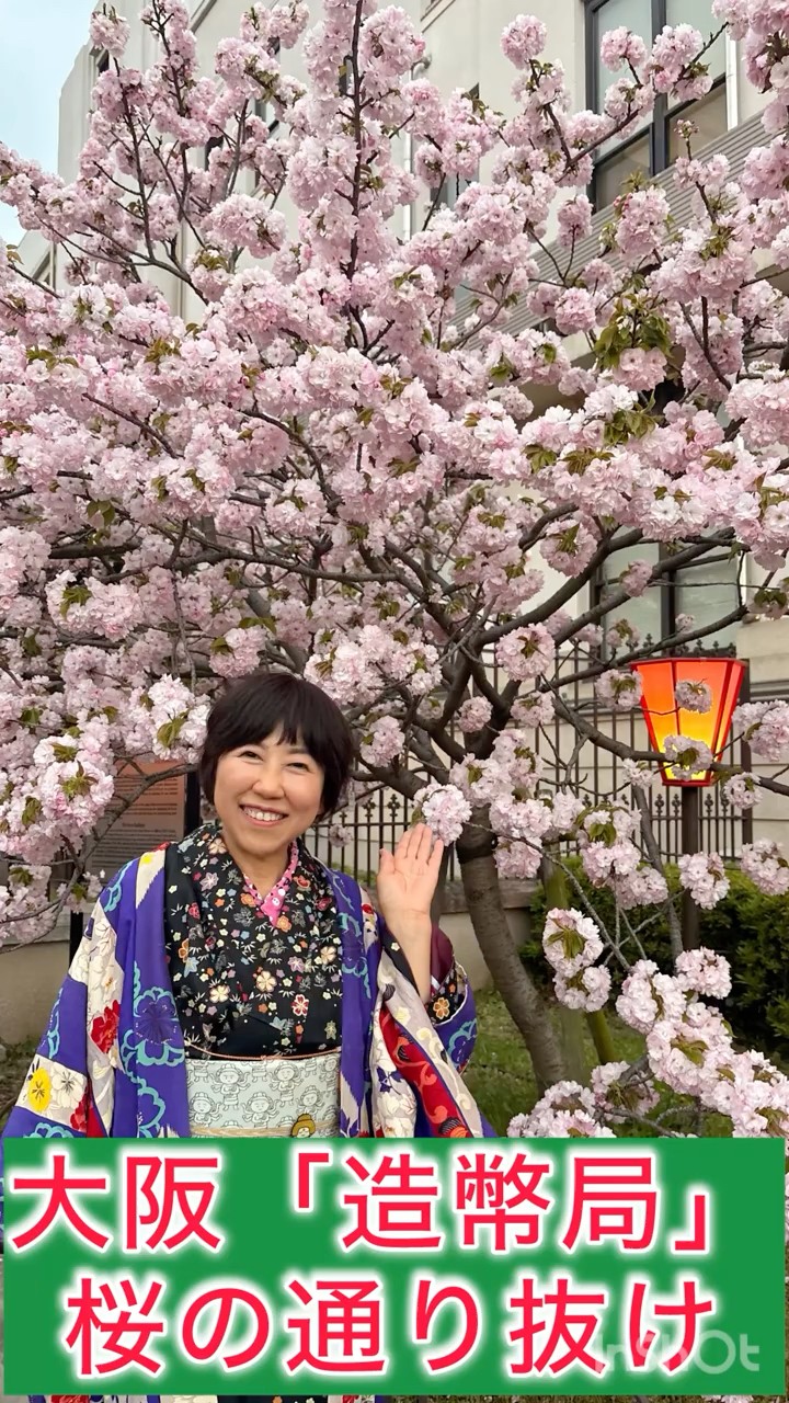 大阪 造幣局「桜の通り抜け」🌸🌸🌸 - YouTube