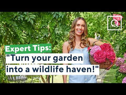 TOP 4 WAYS TO BRING WILDLIFE TO YOUR GARDEN | QVCUK