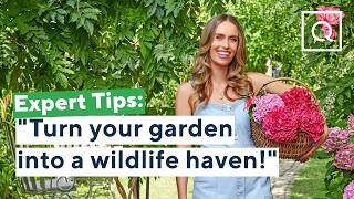 Top 4 Ways To Bring Wildlife To Your Garden Qvcuk