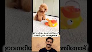 കുസൃതിക്കുട്ടന് കിട്ടിയ കളിപ്പാട്ടം 😜 #shorts #love #reaction #cute #viral #video
