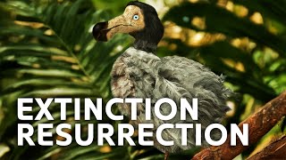 Discover Life Before Extinction: Dodo Birds