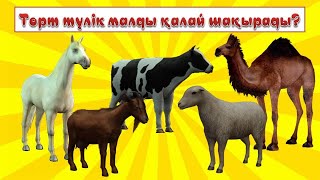 Төрт түлік малды қалай шақырады?