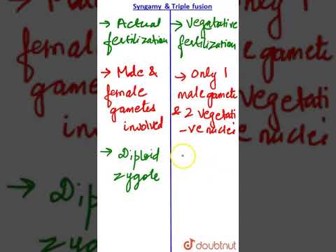 Video: Differenza Tra Syngamy E Triple Fusion