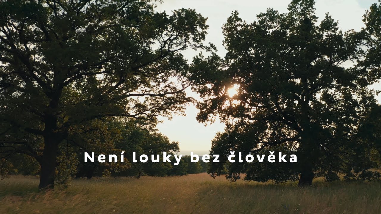 Obnova tradičních luk: Není louky bez člověka