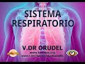 Sistema respiratorio por el vdr orudel  fuente virtual sautelis  taotv