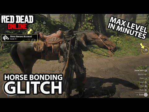 Horse Bonding Glitch Max Level in Minutes in Red Dead Online