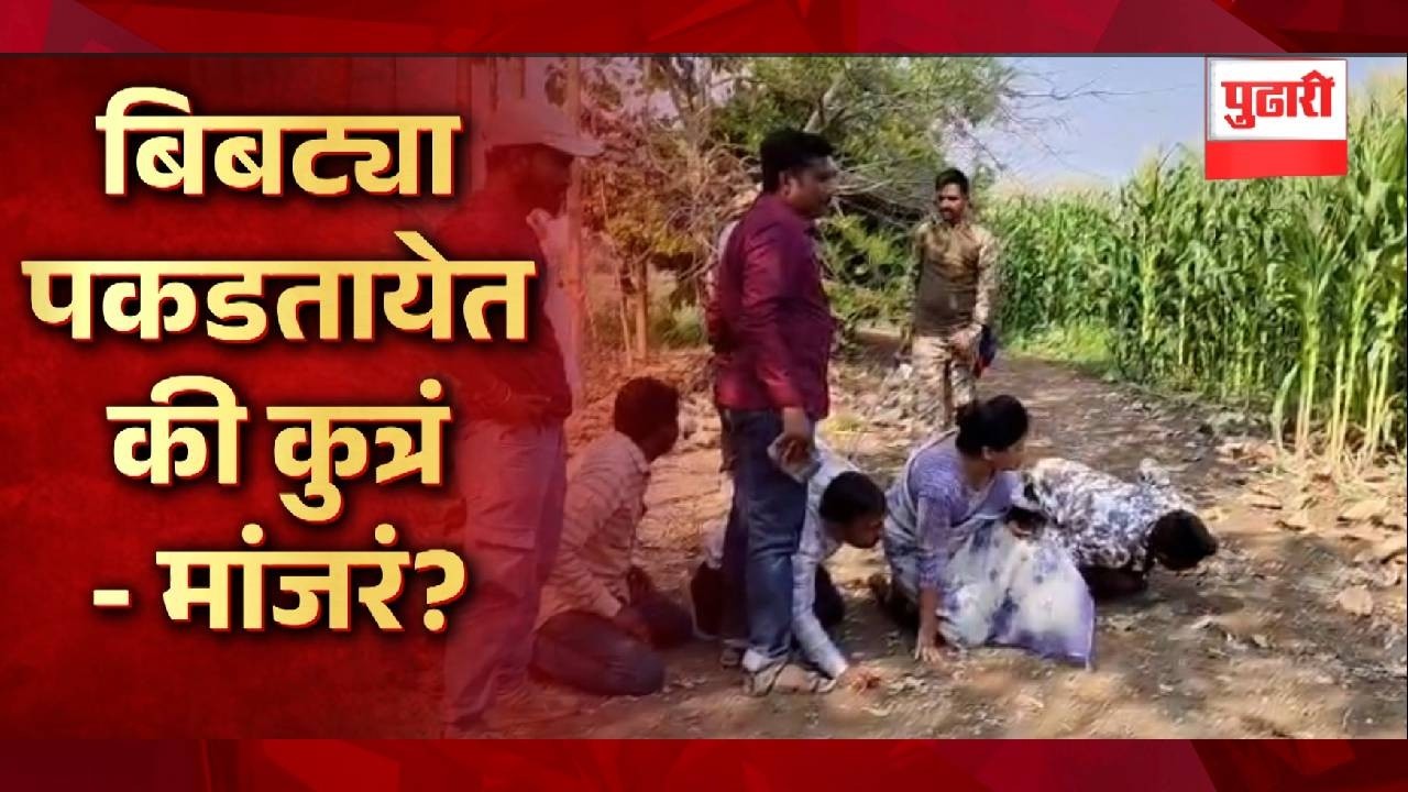Pudhari News | बिबट्याला शोधतानाचा व्हिडीओ व्हायरल | leopard video