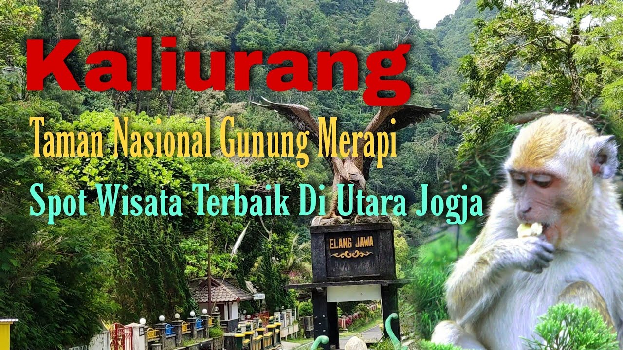 Jalan Jalan Ke Tempat Wisata Kaliurang Yogyakarta | Taman Nasional Gunung Merapi