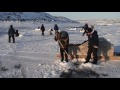 Ice fishing Up River Kangirsuk Nunavik