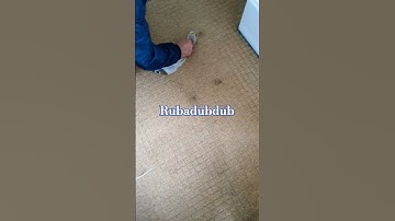 how to remove ink from a carpet #ink #carpetcleaning #satisfaction #satisfying #cleaning #shorts
