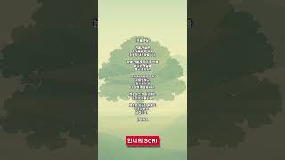 겨울햇살 | 안나의 SORI