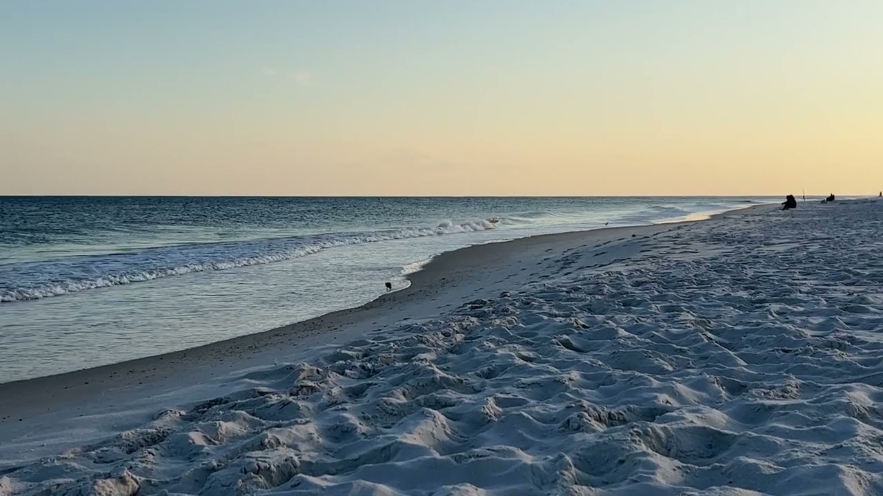 Gulf Coast Living | Discover the beauty of the Gulf Coast | 