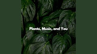 Cultivated Ambiance for Playing Flashbacks