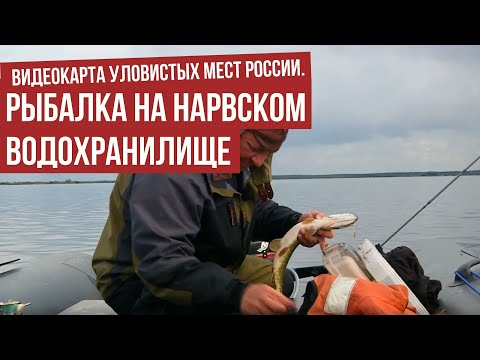 Рыбалка на Нарвском водохранилище \ Видеокарта уловистых мест России.